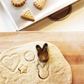 Bakery Cookie Cooking Delicious Biscuits Concept