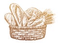 Wicker rustic basket full of baked fresh bread. Bakery food, breadstuff sketch vintage vector illustration