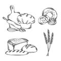 Bakery goods and baking tools. Vector graphics illustration. Set from compositions with bread loafs, cinnamon bun and Royalty Free Stock Photo