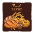 Bakery grunge emblem design. Hand sketched fresh bread vector concept