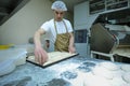 At the bakery: man baker puts formed dough on a tray preparing for baking bread.