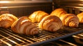 Bakery mini electric oven bakes fresh croissants Royalty Free Stock Photo