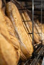 Bakery preparing and selling tasty bread and pastries