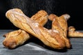 Bakery preparing and selling tasty bread and pastries