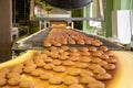 Bakery production line or with fresh sweet cookies on conveyor belt. Equipment machinery in confectionary factory