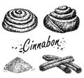 Bakery products. Cinnamon roll sketch. Cinnabon bun. Hand drawn sketch of Sweet cinnamon roll. Loaf of bread. Cinnamon