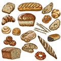 Bakery vector illustration