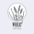 Bakery vintage bread or beer logo with wheat