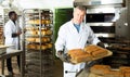 Bakery worker arranging trays with baked loaves Royalty Free Stock Photo