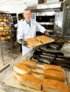 Bakery worker arranging trays with baked loaves Royalty Free Stock Photo