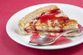 Bakewell tart Royalty Free Stock Photo