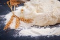 Baking background with flour, rolling pin and grain ears on black chalkboard