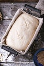 Baking bread Royalty Free Stock Photo