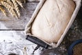 Baking bread Royalty Free Stock Photo