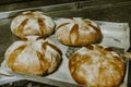 Baking bread. Dough in proofing basket on wooden table with flour, cumin and wheat ears. Top view Royalty Free Stock Photo