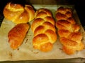 Baking bread sweet brown bird coking