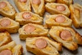 Baking Bun with Sausage and mustard puff pastry rolls. Delicious snacks, tapas, breakfast, appetizers on baking paper Royalty Free Stock Photo