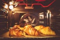 Baking Buttery Croissants Royalty Free Stock Photo