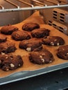 Baking chocolate cookies process Royalty Free Stock Photo