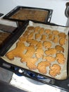 Baking of christmas gingerbreads