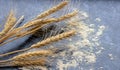 Baking class or recipe concept on dark background, sprinkled wheat flour, grain and ears with free copy space. Top view on wooden Royalty Free Stock Photo