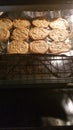 Baking Cookies in Oven