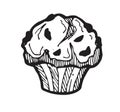 Baking cupcake with raisin streaks of cream. White sweet bread pastries. Ready dish. Food delicious. Hand drawing
