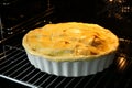 Baking dish with raw homemade apple pie in oven, closeup Royalty Free Stock Photo