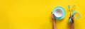 Baking flat lay. Female hands holding plate, bowl, kitchen tools, sieve, rolling pin, spatula and bruch on yellow background.