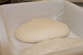Baking Fresh Bread Background, Dough