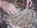 Baking gingerbread for Christmas