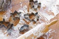 Baking gingerbread cookie cutters, wooden rolling pin, and flour are messily spread on kitchen table Royalty Free Stock Photo
