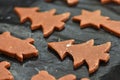 Baking home made Christmas cookies. Classical Czech tradition. Concept for the winter season, food and Christmas holidays.