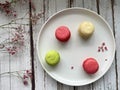 baking macaroni of different colors on a plate