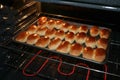 Baking pastry. Piroshki. Royalty Free Stock Photo