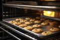 baking rack suspending freshly baked cookies in the oven Royalty Free Stock Photo
