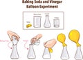 Baking Soda and Vinegar-Balloon Experiment-Science