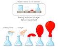 Baking Soda and Vinegar Balloon Science experiment Royalty Free Stock Photo