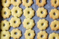 Baking tin of canestrelli biscuits Royalty Free Stock Photo