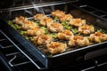 baking tray of baklava in a preheated oven Royalty Free Stock Photo