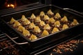 baking tray of baklava in a preheated oven Royalty Free Stock Photo