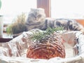 Baking tray with raw meatloaf on table. Cooked spicy pork meat roulade prepared to roast, marinated with spices and herbs. Royalty Free Stock Photo