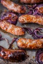 Baking tray with six baked pork and apple sausages Royalty Free Stock Photo