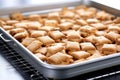 baking trays stacked with cooled dog biscuit