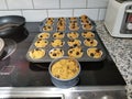Baking Twenty Four Muffins and a Small Cake Royalty Free Stock Photo