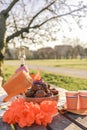 Baking and various foods and drinks for lunch on the nature. Oranjevaya hat and accessories. Traditional donuts for King`s Day Royalty Free Stock Photo