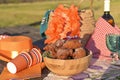 Baking and various foods and drinks for lunch on the nature. Oranjevaya hat and accessories. Traditional donuts for King`s Day Royalty Free Stock Photo