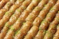 Baklava Royalty Free Stock Photo