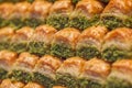 Baklava honey slicing with grated pistachios, selective focus