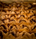 Baklava at a Mediterranean Bakery